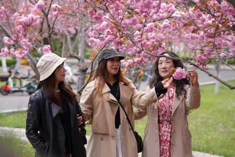 77779193永利集团